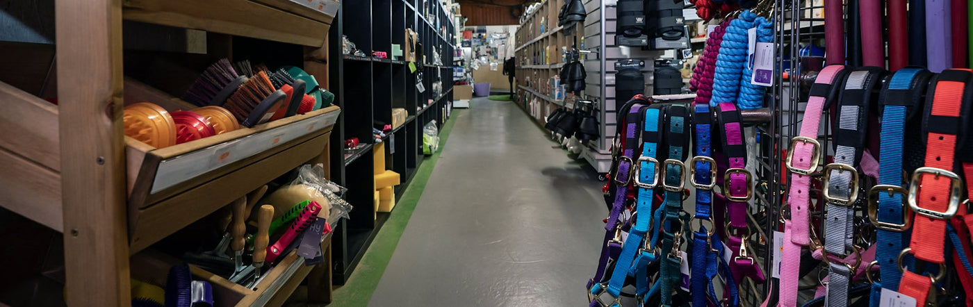 Pet store aisle with shelves of pet toys and collars hanging on racks.