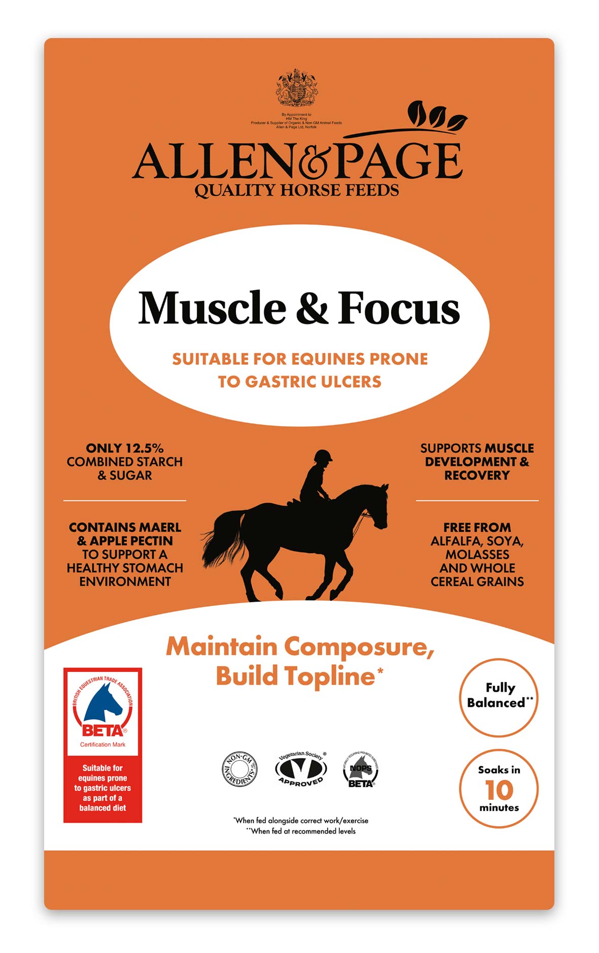 A&P Muscle & Focus