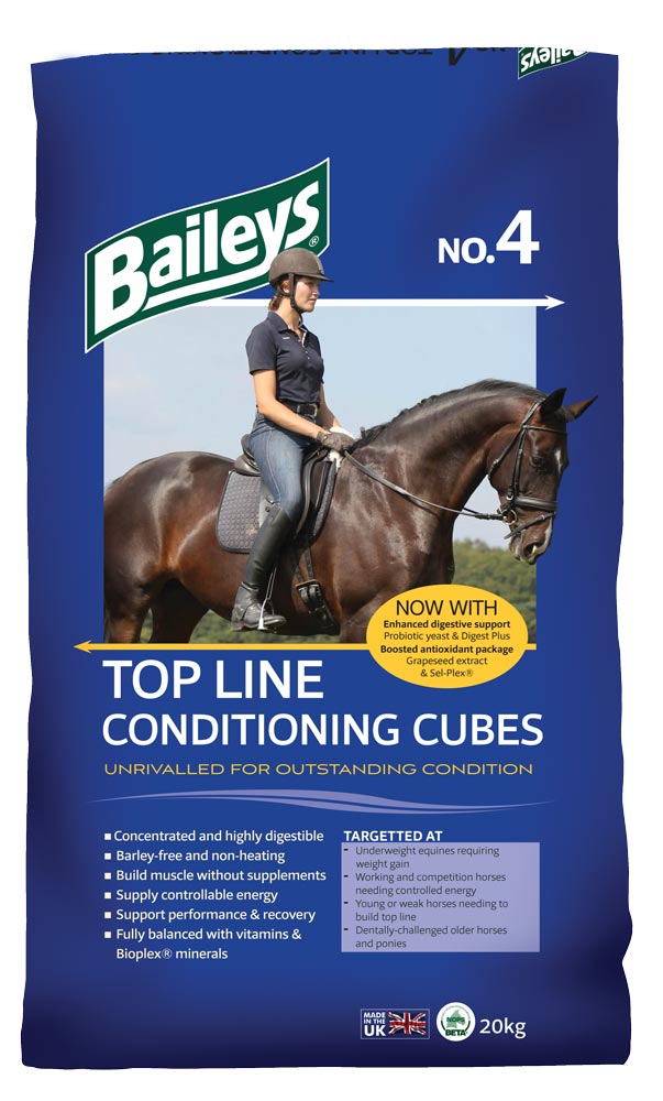 Baileys No 4 Conditioning Cubes