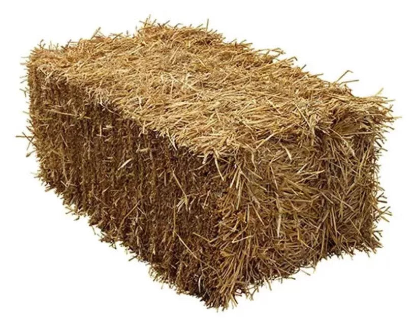 Straw - Barley