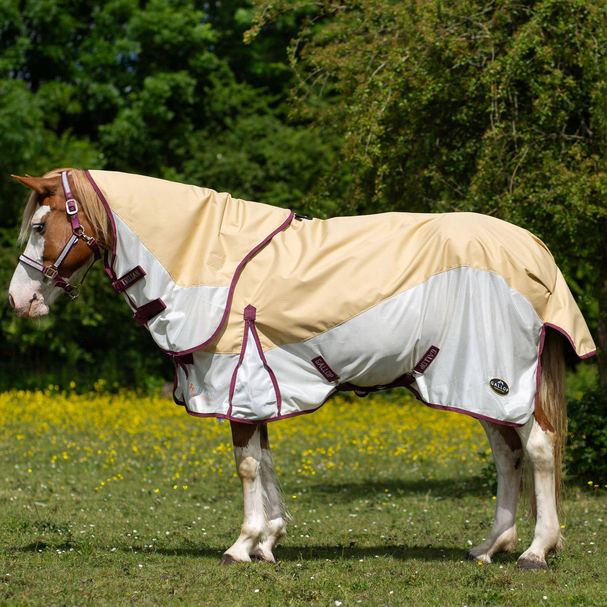 Gallop Trojan Dual Waterproof Turnout Fly Rug