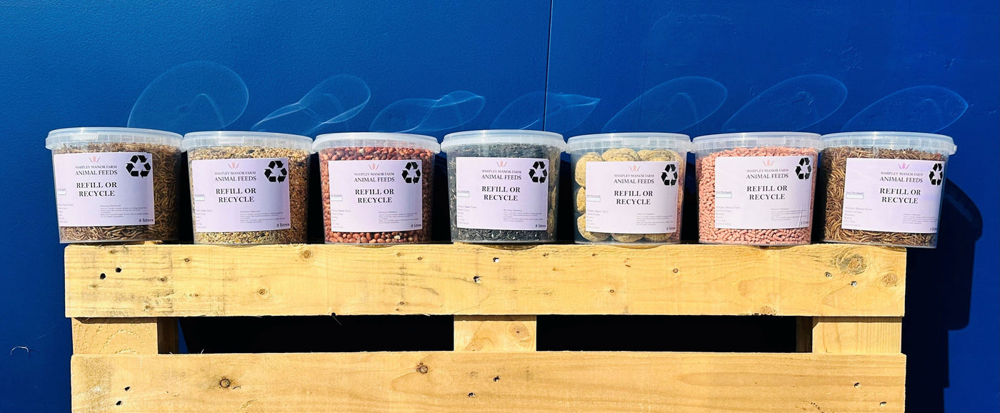 Row of containers with labels on a wooden pallet against a blue background