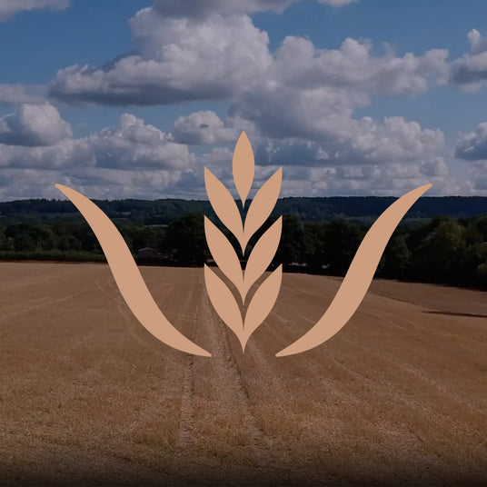 Wheat field with a stylized wheat logo overlay against a blue sky with clouds.