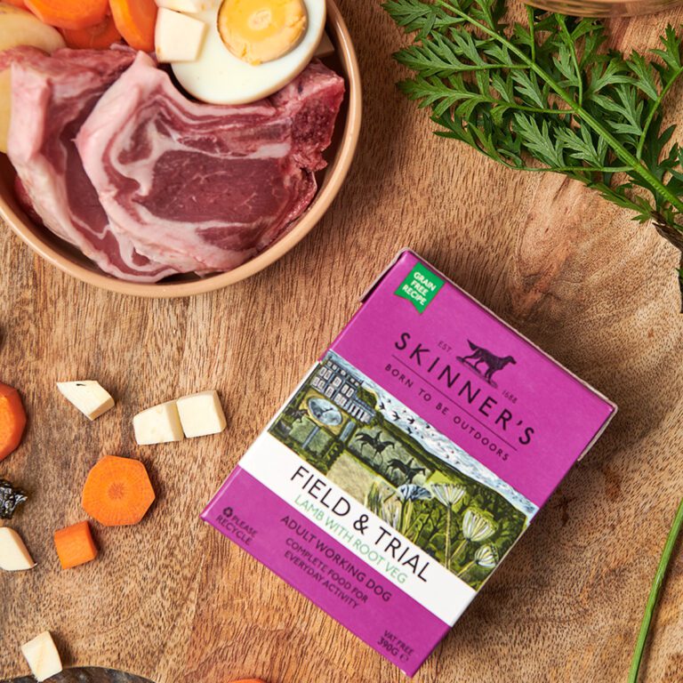 Skinners Lamb Grain Free 390g