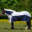 Horse wearing a white and navy blanket in a grassy field with trees in the background