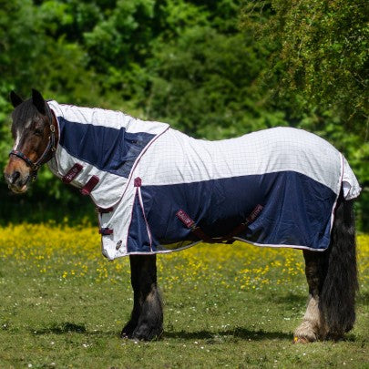 Horse wearing a white and navy blanket in a grassy field with trees in the background