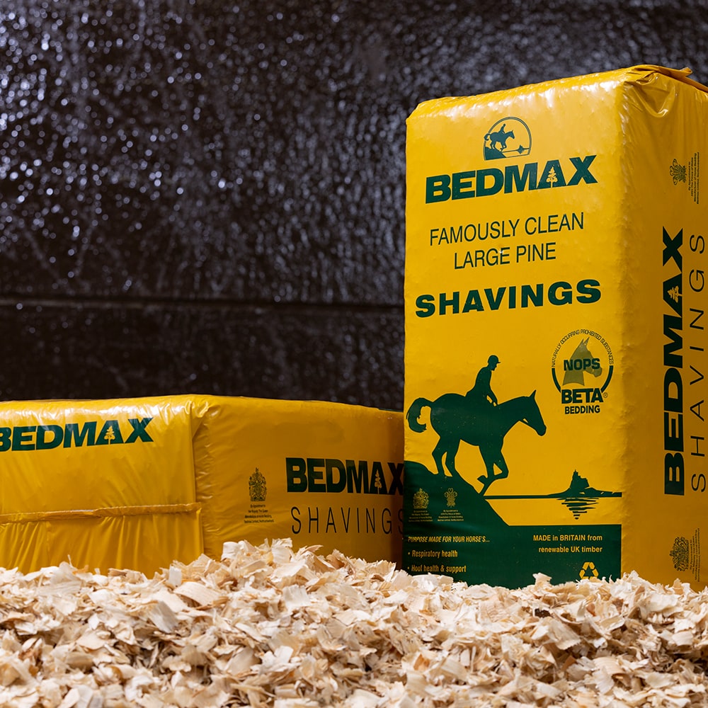 Bedmax