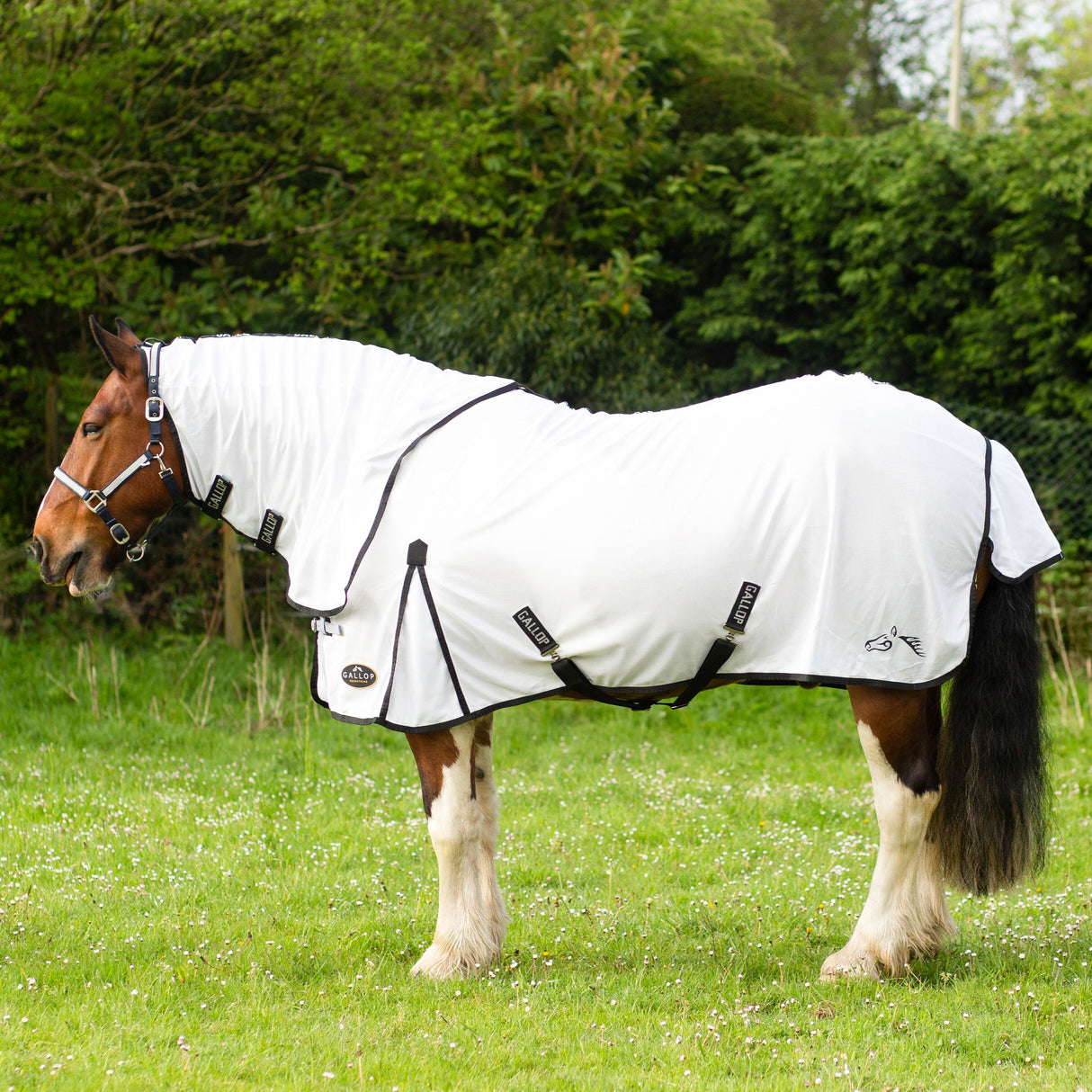 Gallop Fly Mesh Dual Rug & Neck Set