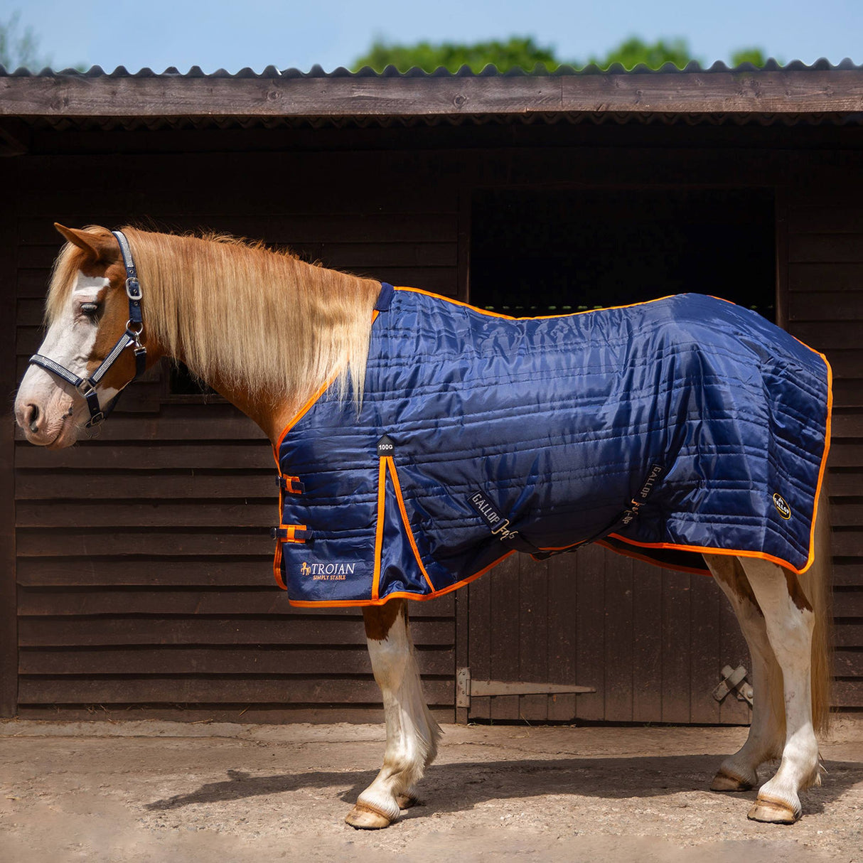 Gallop Trojan Stable Rug 100g
