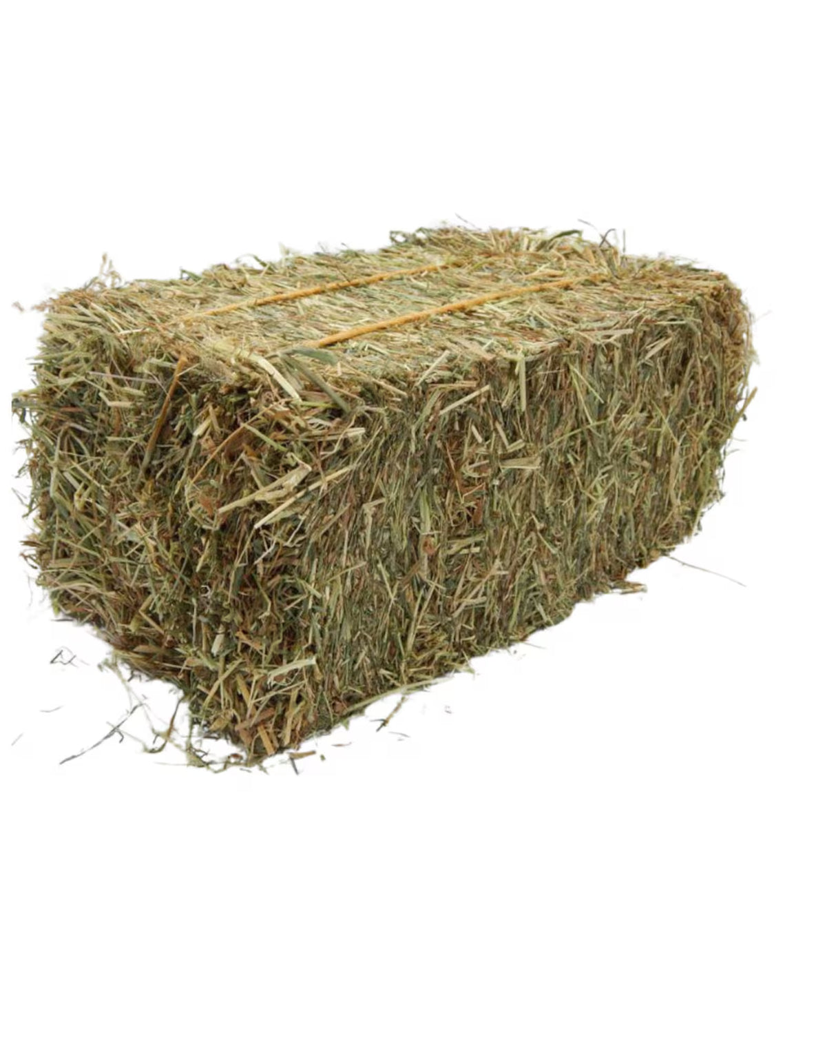 2025 Hay