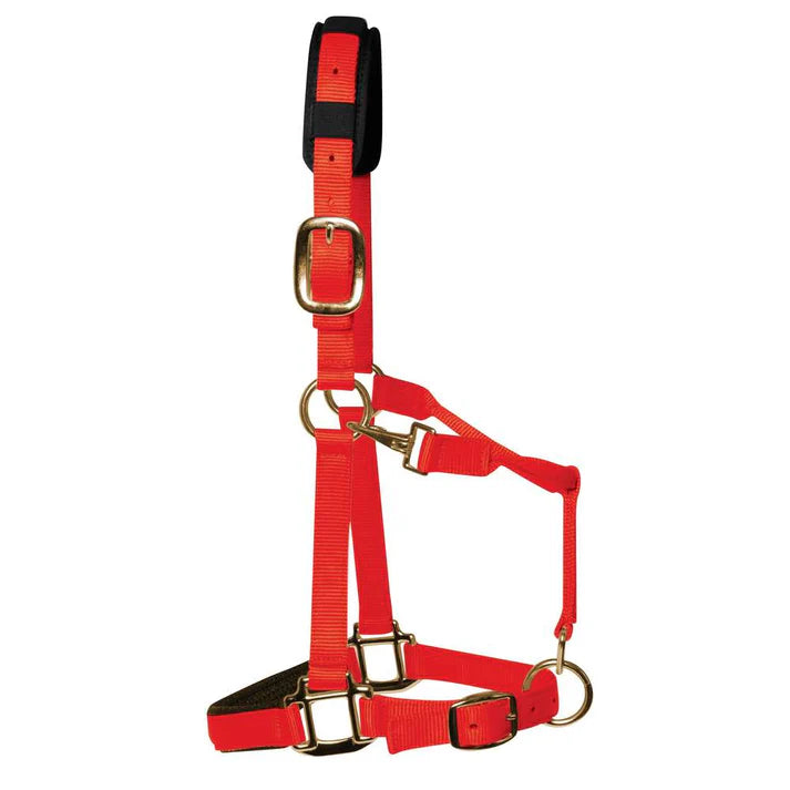 KM Elite Head Collar