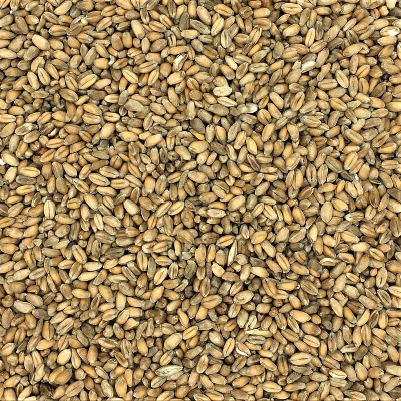 Whipley Wheat 20Kg