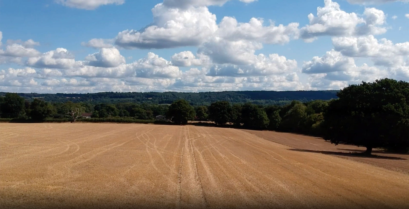 Plowed field with trees and a blue sky with clouds
