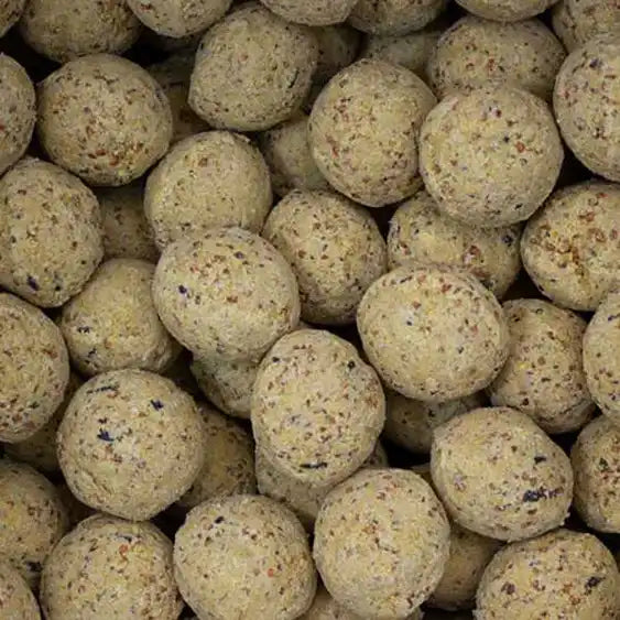 Fat Balls No Net