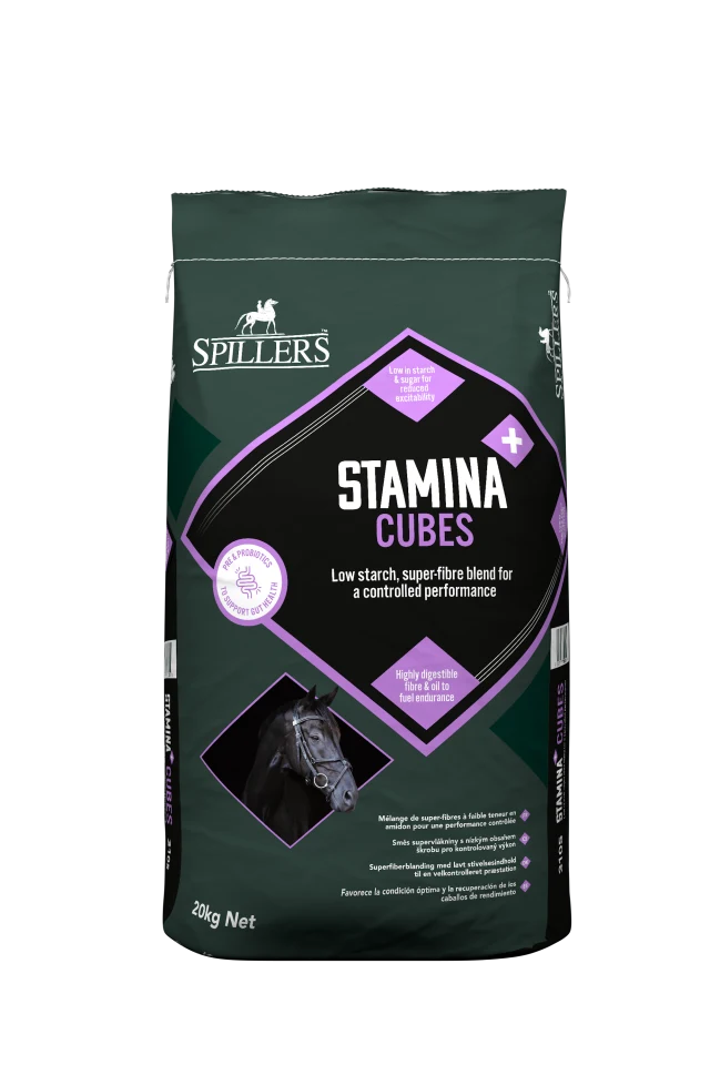 Spillers Stamina Plus Cubes