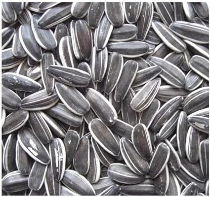 Black sunflower seeds 12.75kg